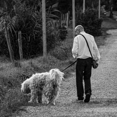 A Man Walking His Dog Outside,Dog Images BW