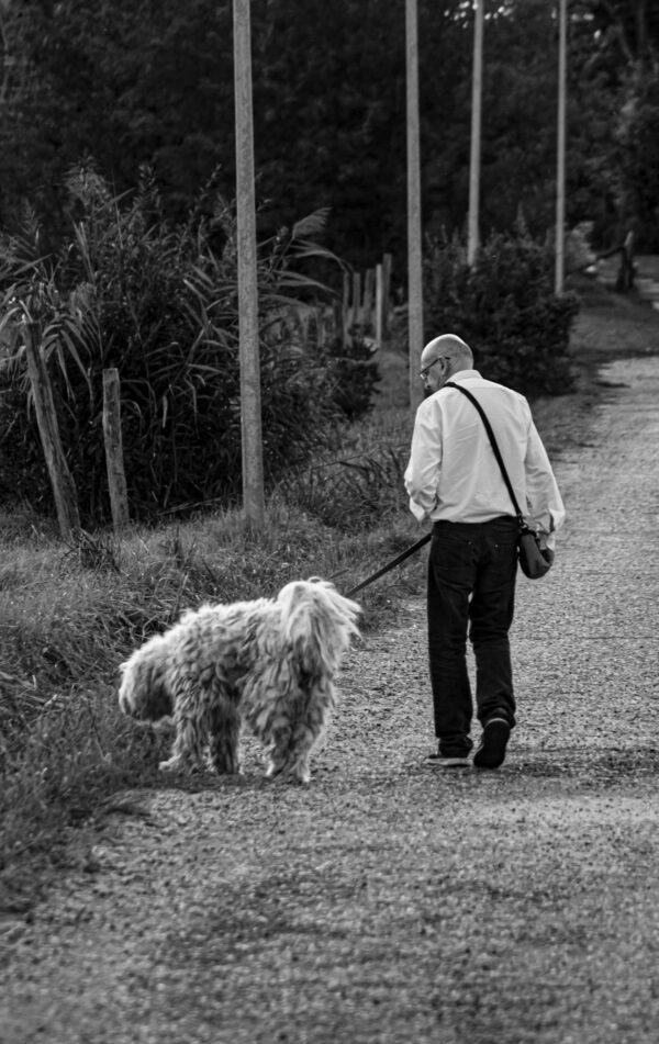 A Man Walking His Dog Outside,Dog Images BW