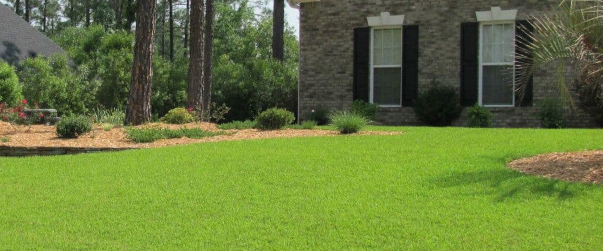 Drought-Tolerant Grass Seeding