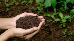 Soil Conditioning and Treatment