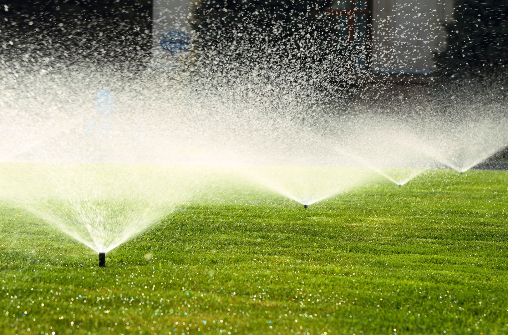 Water-Efficient Irrigation System Installation